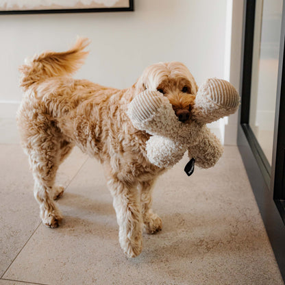 Ziggy hondenspeeltje Taupe