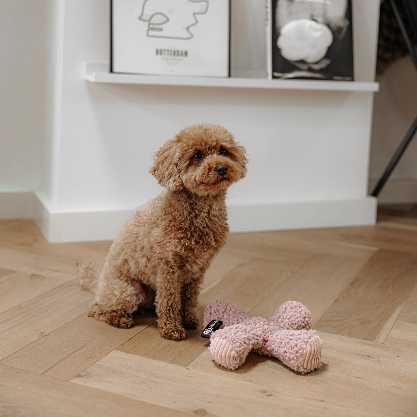 Ziggy hondenspeeltje Pink