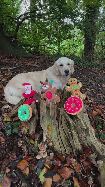 Rendier hondenspeeltje