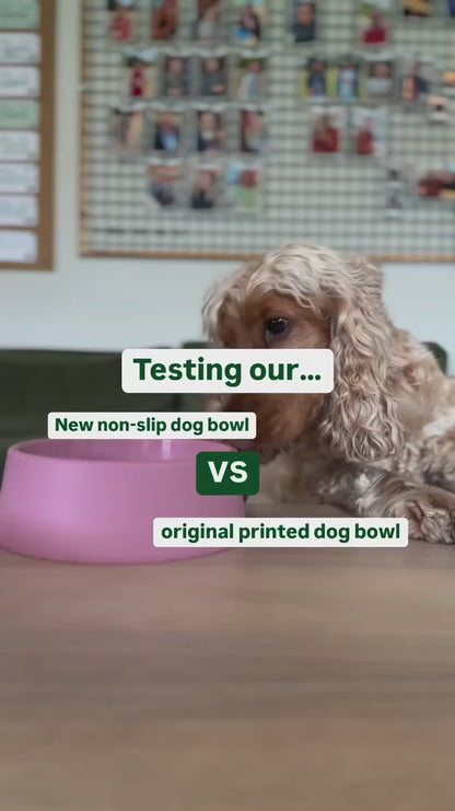 Steady dog bowl - Beco