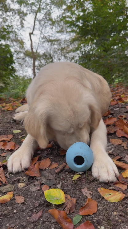 Kong Puppy L Pink/Blue